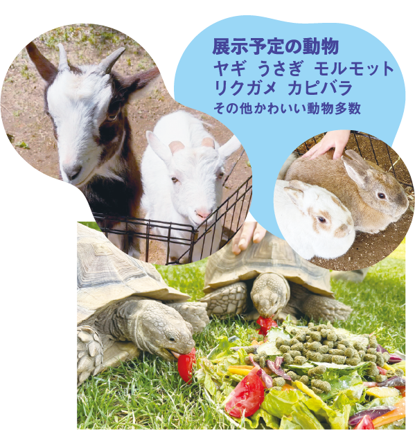 まちの動物園